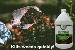 Natural Elements 30% Vinegar cleans grout and mineral deposits with ease.