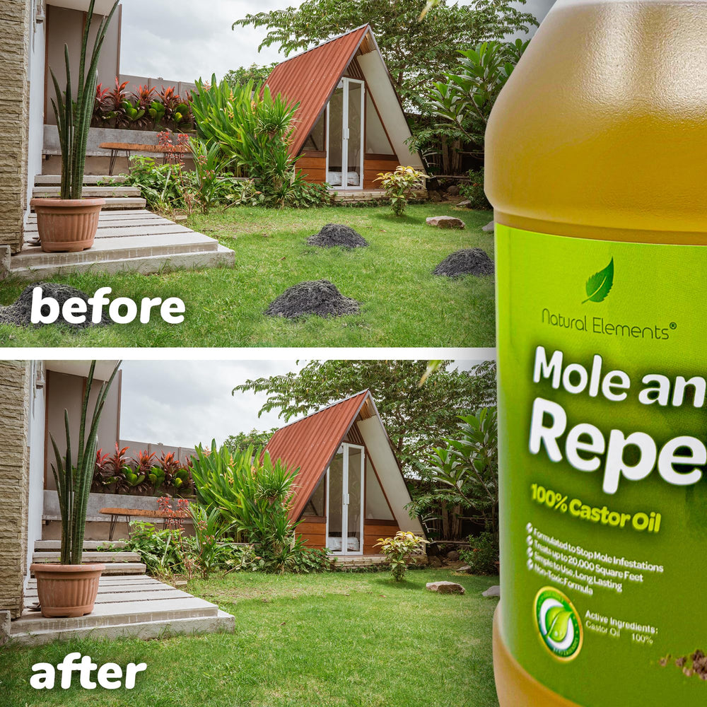 Natural Elements castor-oil-hero-bottle highlights natural yard care approach.
