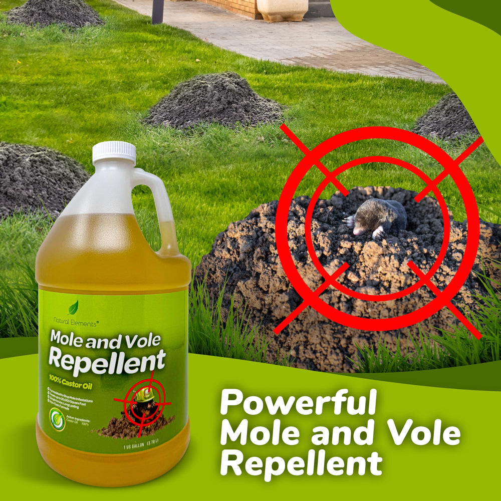Natural Elements lawn-protection-application demonstrates gradual deterrence.