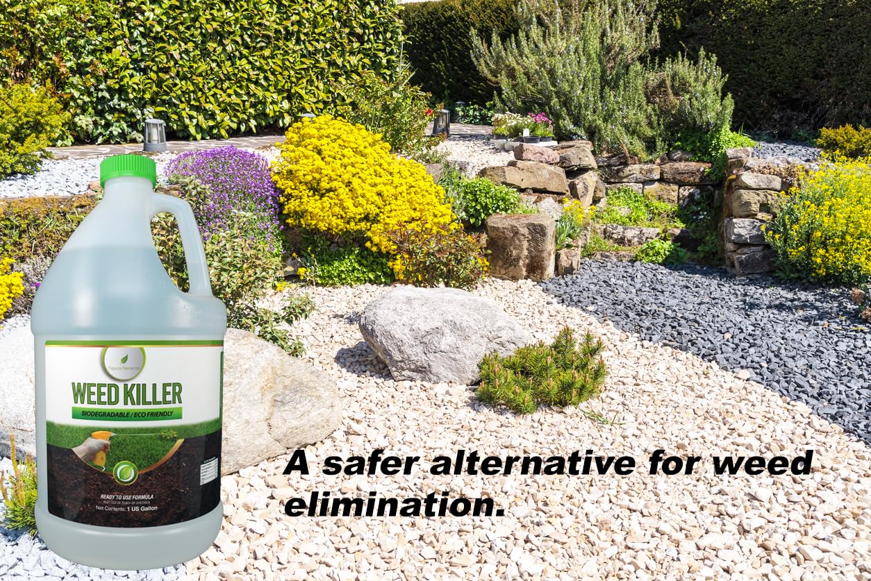 Natural Elements Weed Killer spray in action around garden beds.