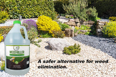 Natural Elements Weed Killer spray in action around garden beds.