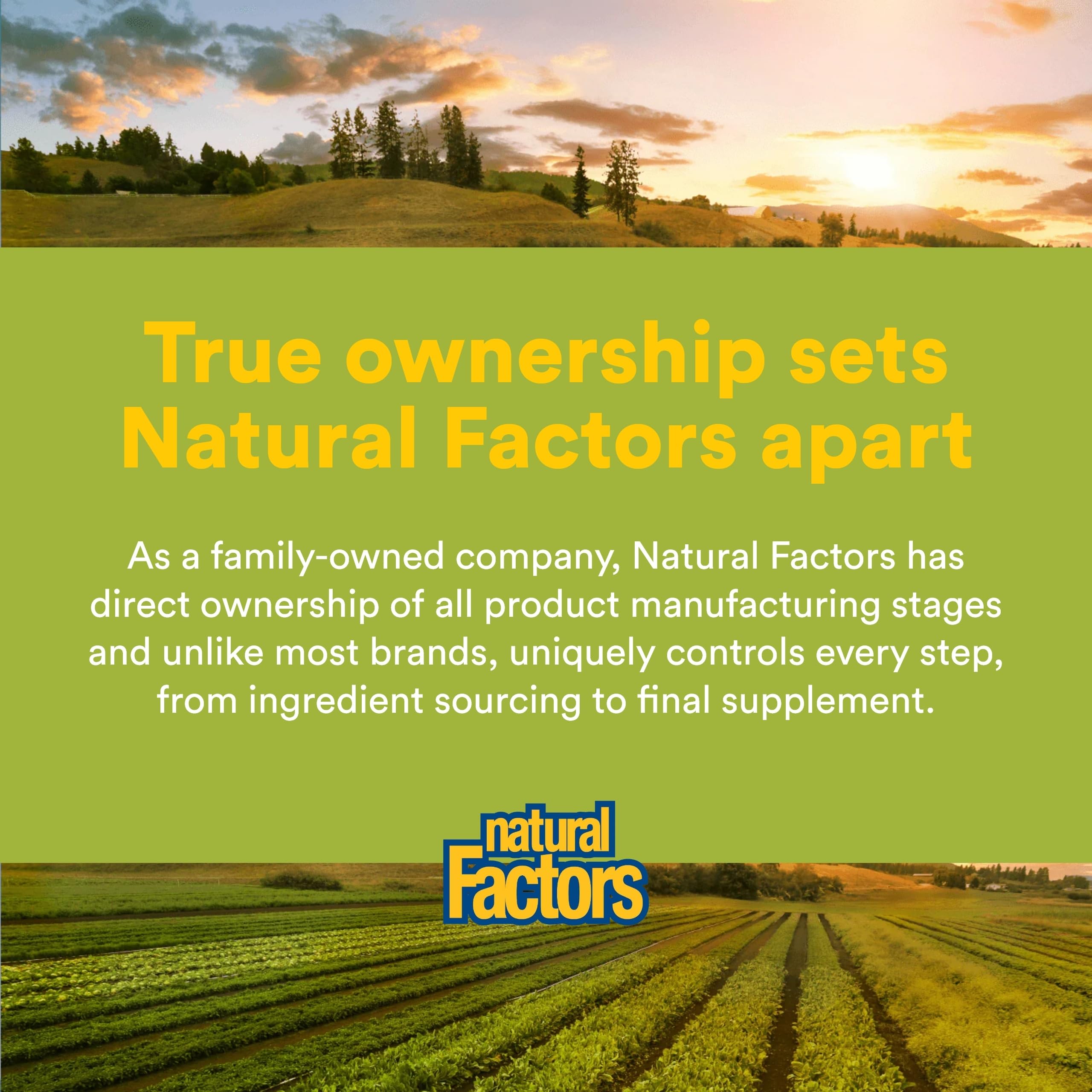 Natural Factors DGL label showing ingredient panel and licorice root extract.