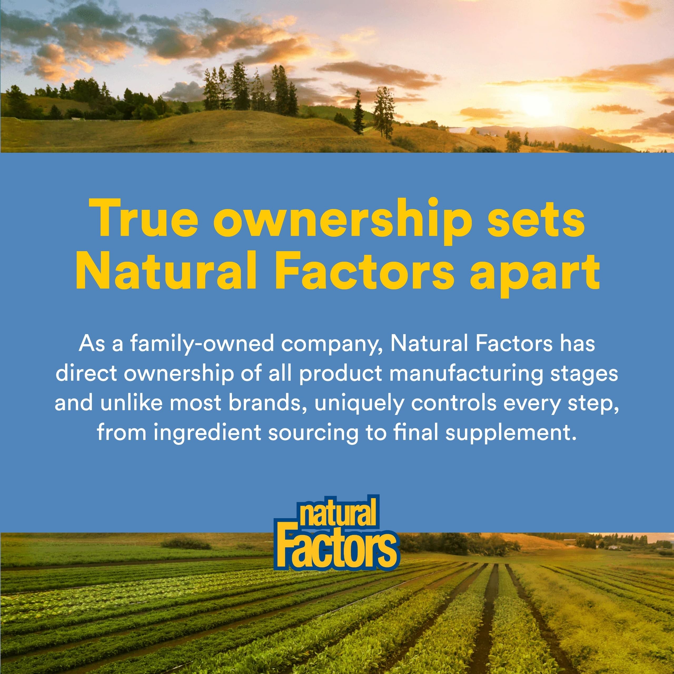Natural Factors Omega Factors DHA-rich softgels support cognitive and eye health.