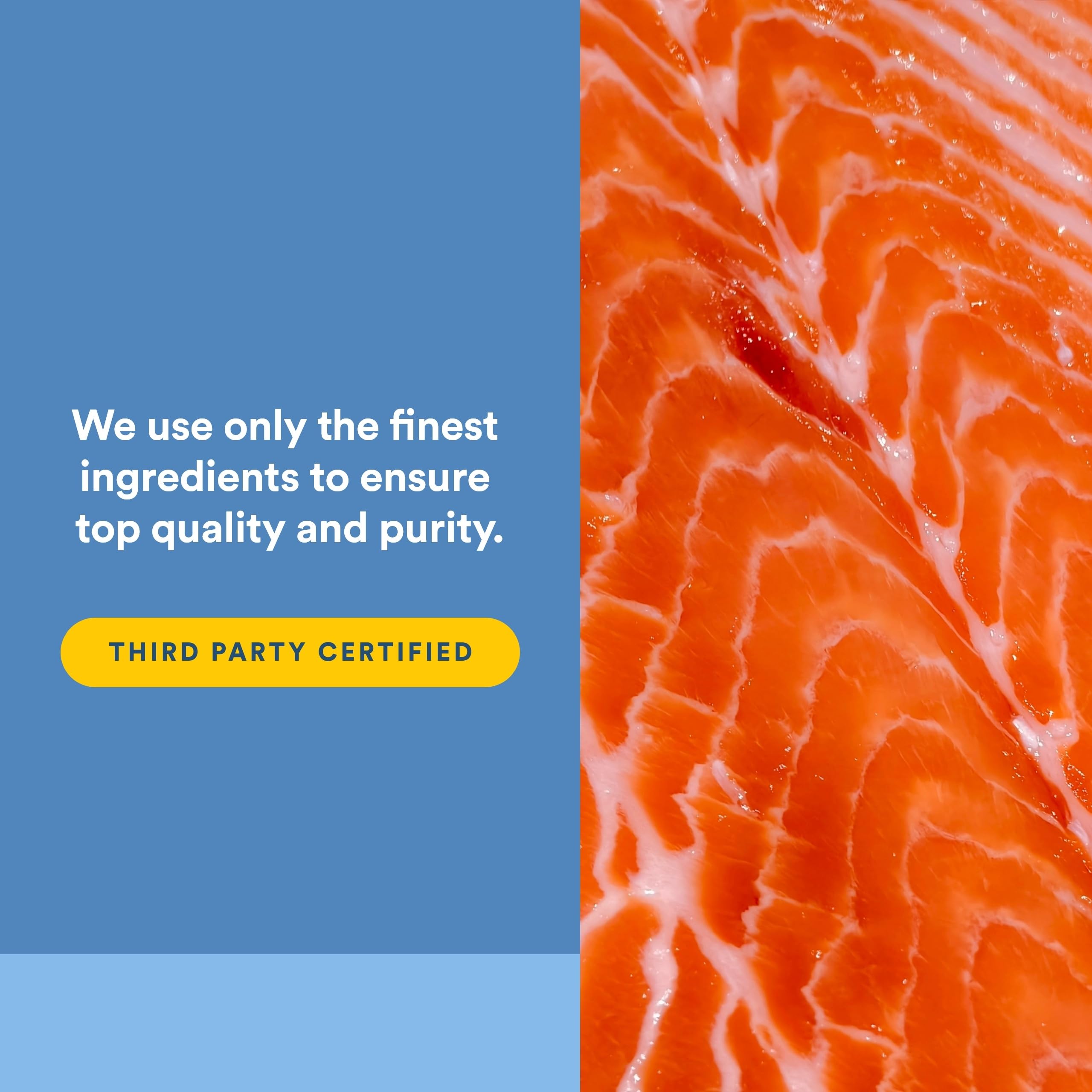 Natural Factors Omega Factors third-party testing badge confirms purity and potency.