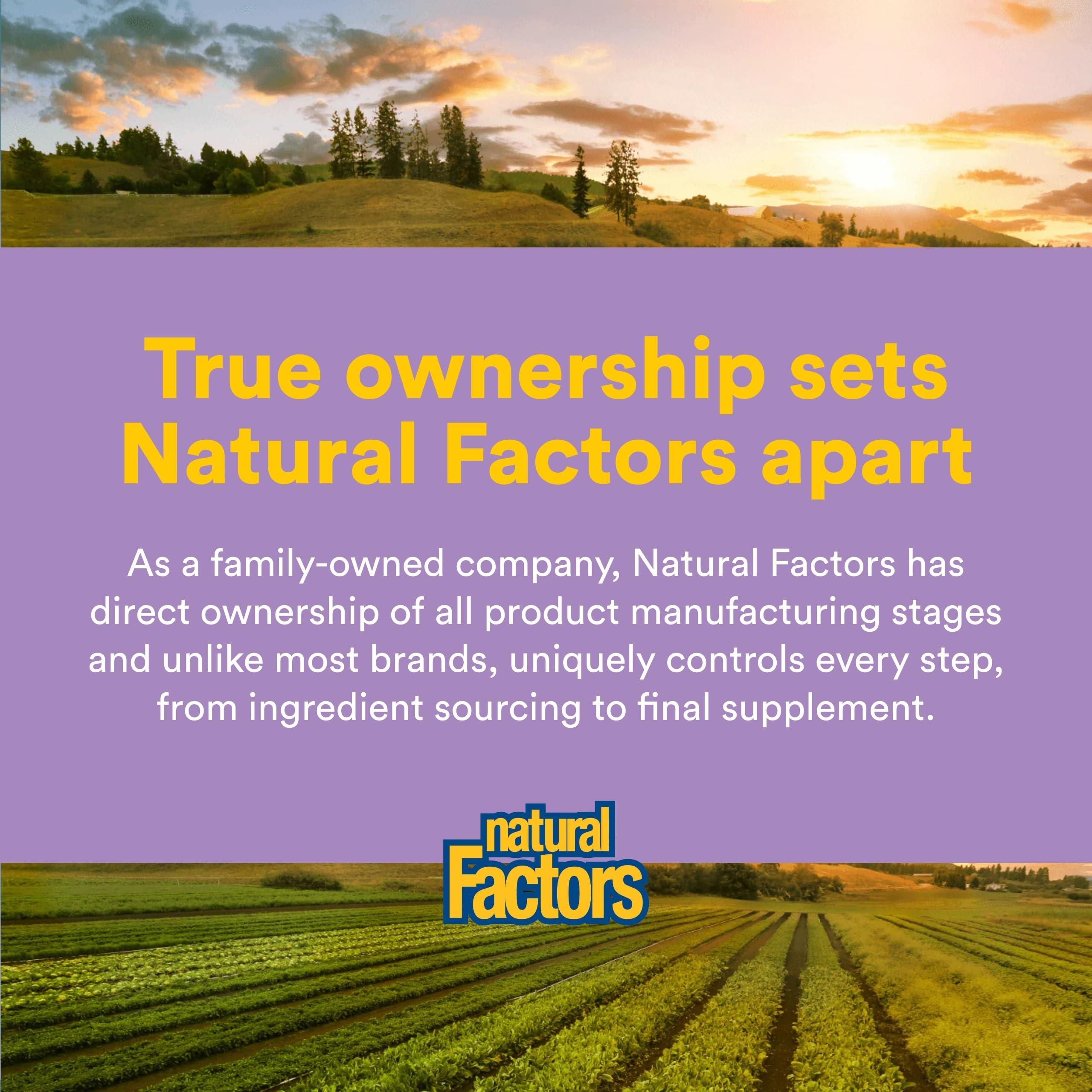 Natural Factors Pharma GABA shelf shot ready for daily calm and focus routines.
