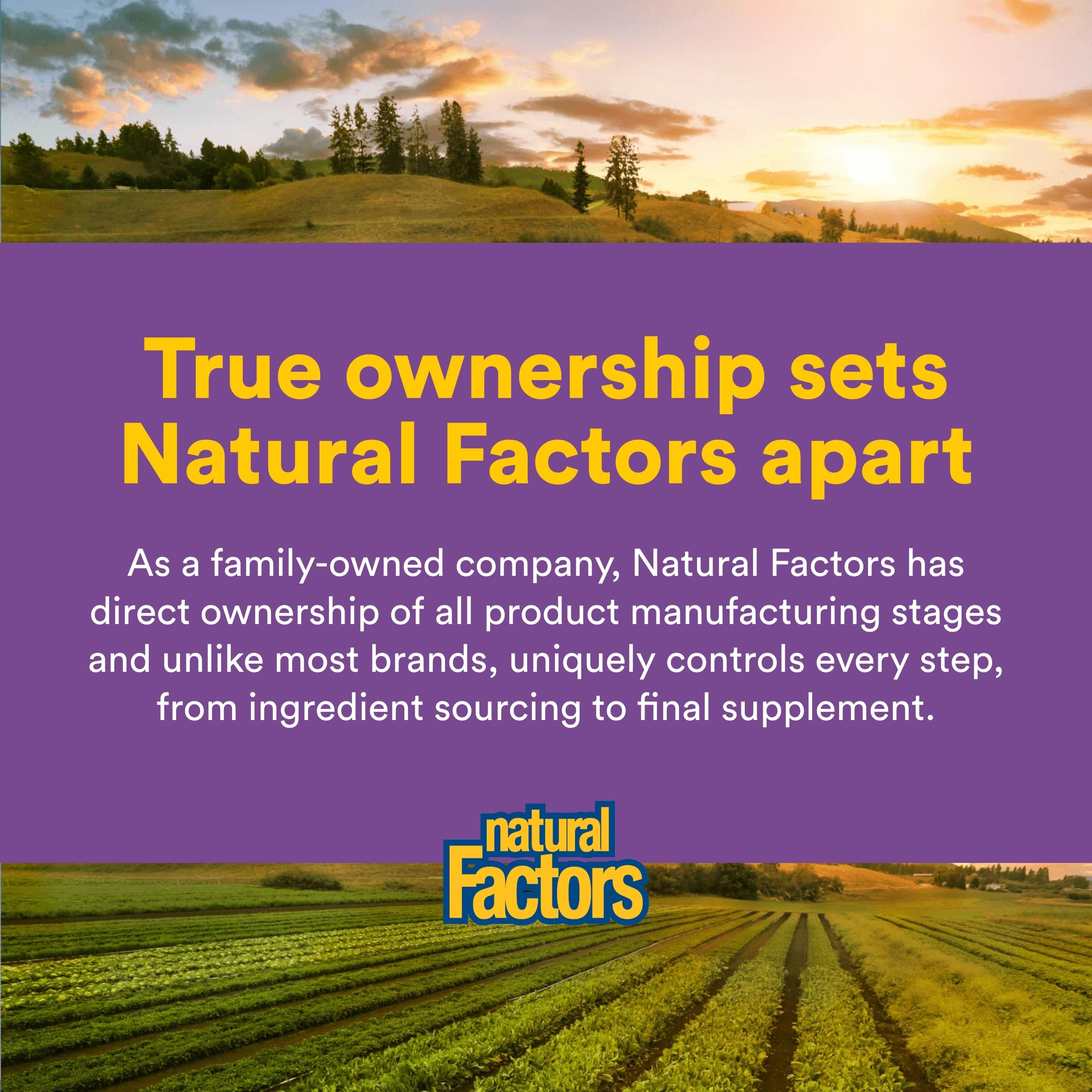Natural Factors saffron capsules arranged for easy daily use.