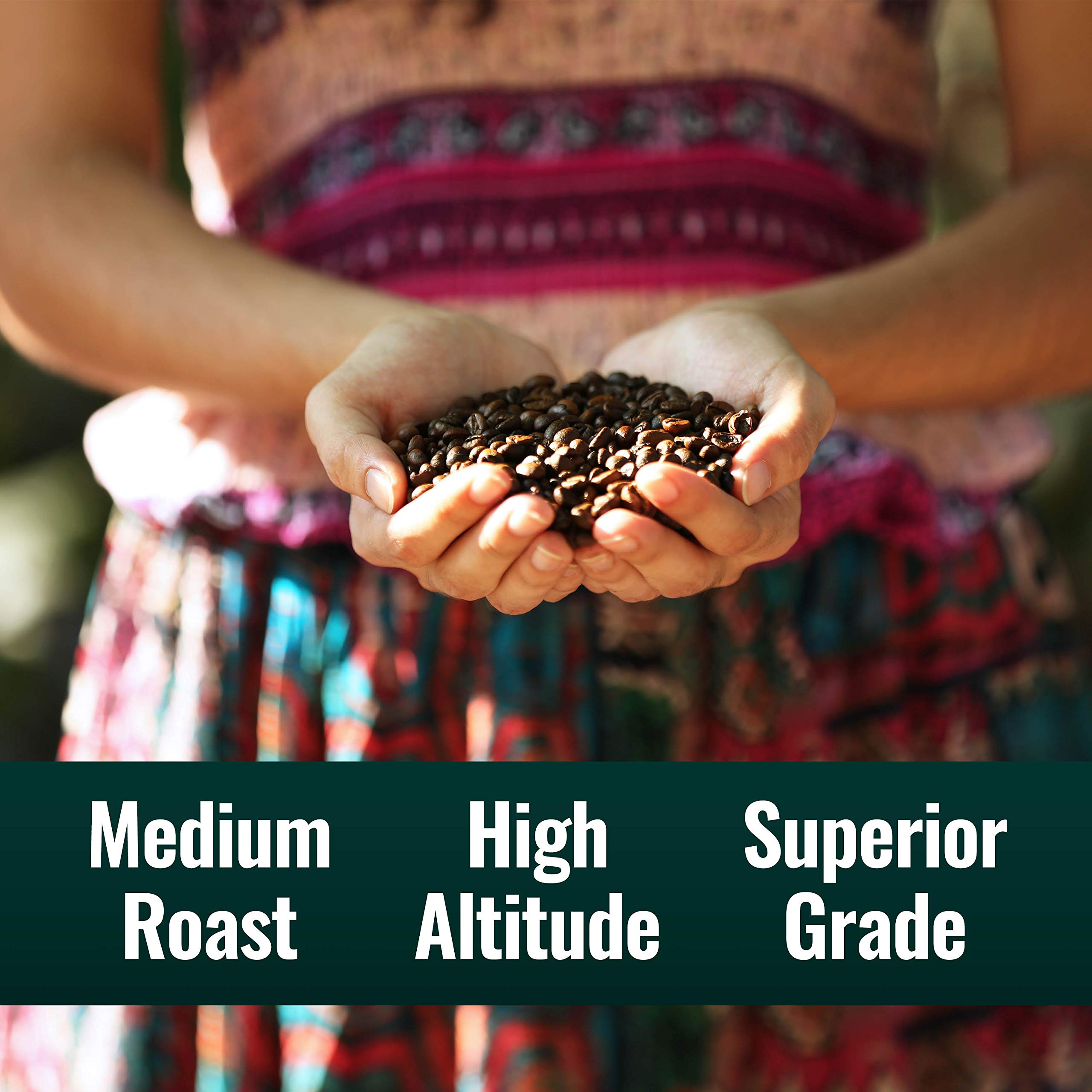 Natural Force Organic Certifications—USDA Organic, Paleo, Vegan verified.
