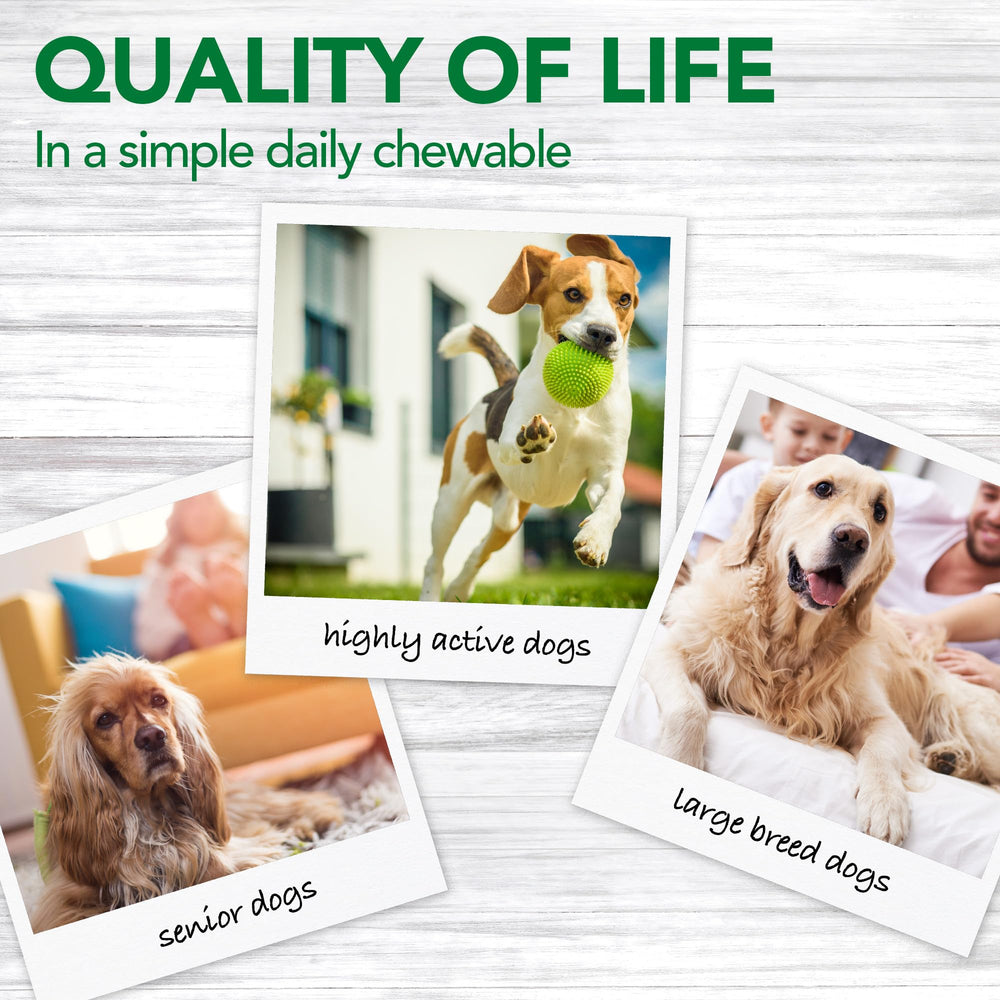 Natural ingredients like glucosamine and bromelain in Vet’s Best