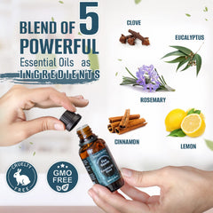 Natural Riches Five Guards cinnamon-detail emphasizing warm, inviting aroma