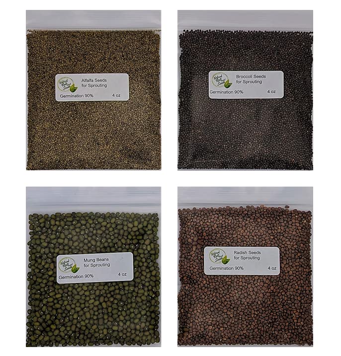 Natural Roots broccoli sprouts pack for quick harvest