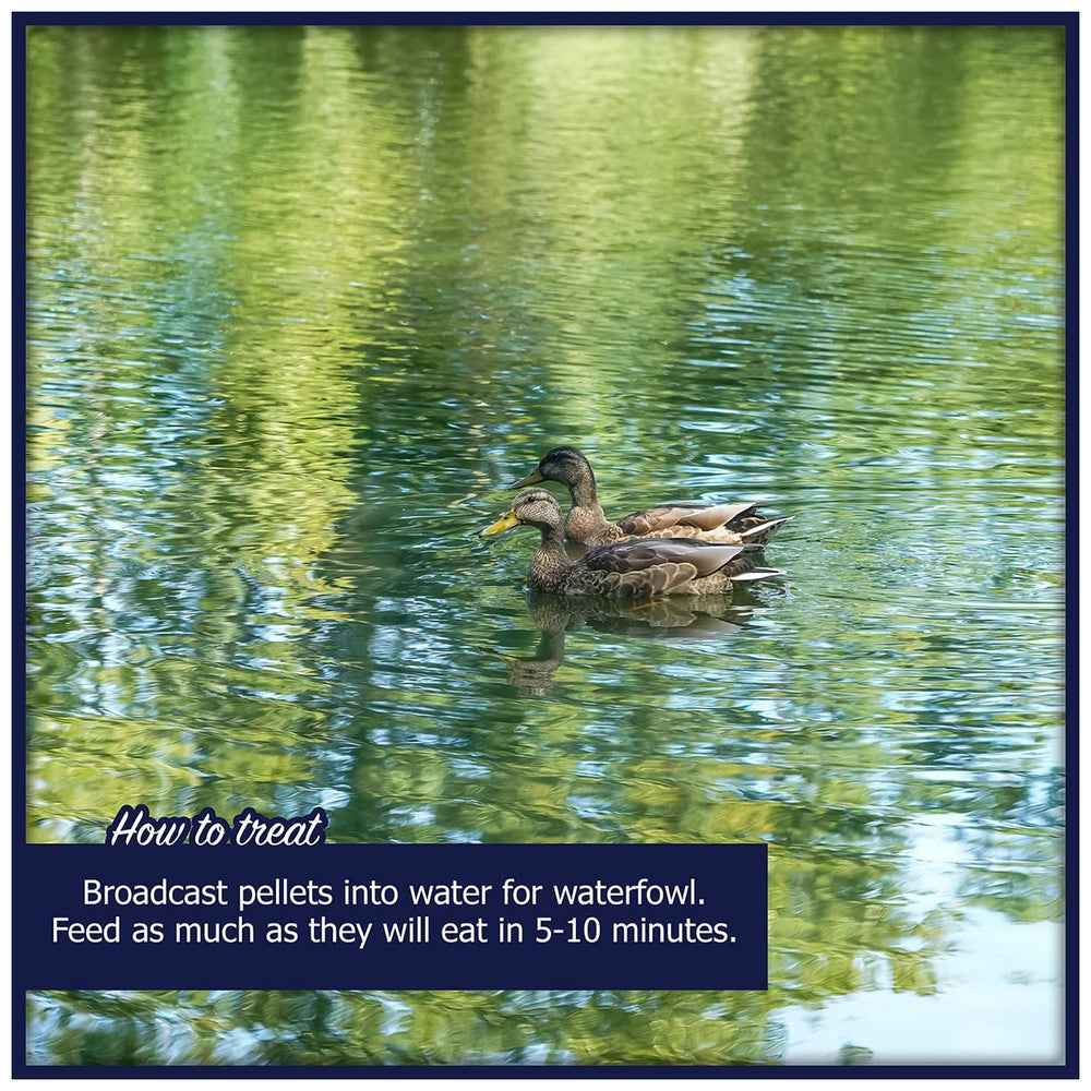 Natural Waterscapes Waterfowl Feed brand label on bag.