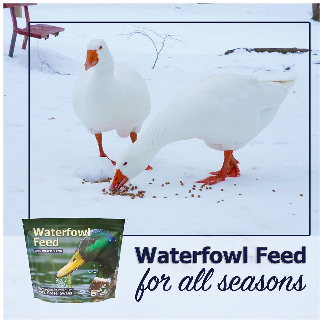 Natural Waterscapes Waterfowl Feed pellet size and texture detail.