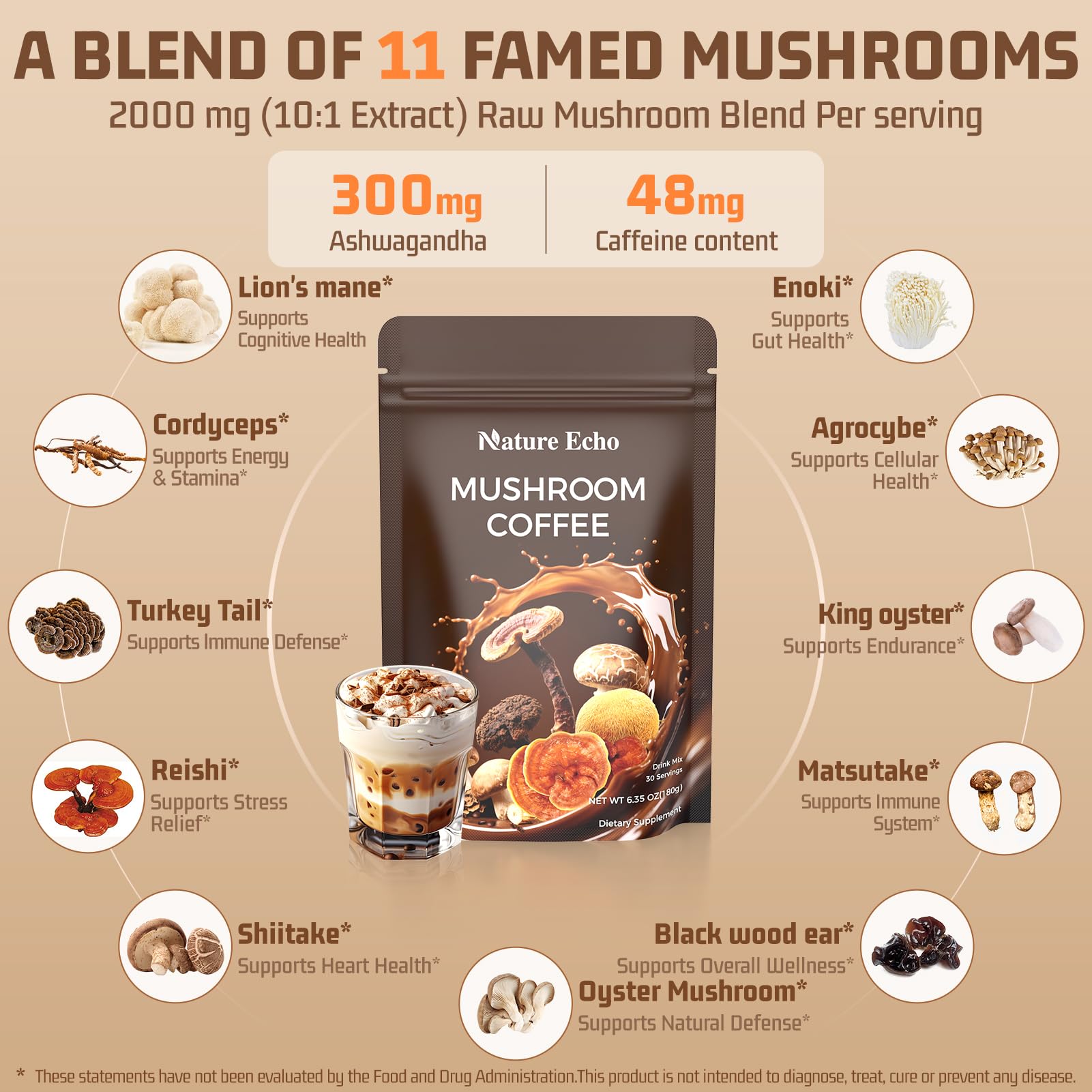 Nature Echo Lion's Mane coffee for sharper cognitive clarity.