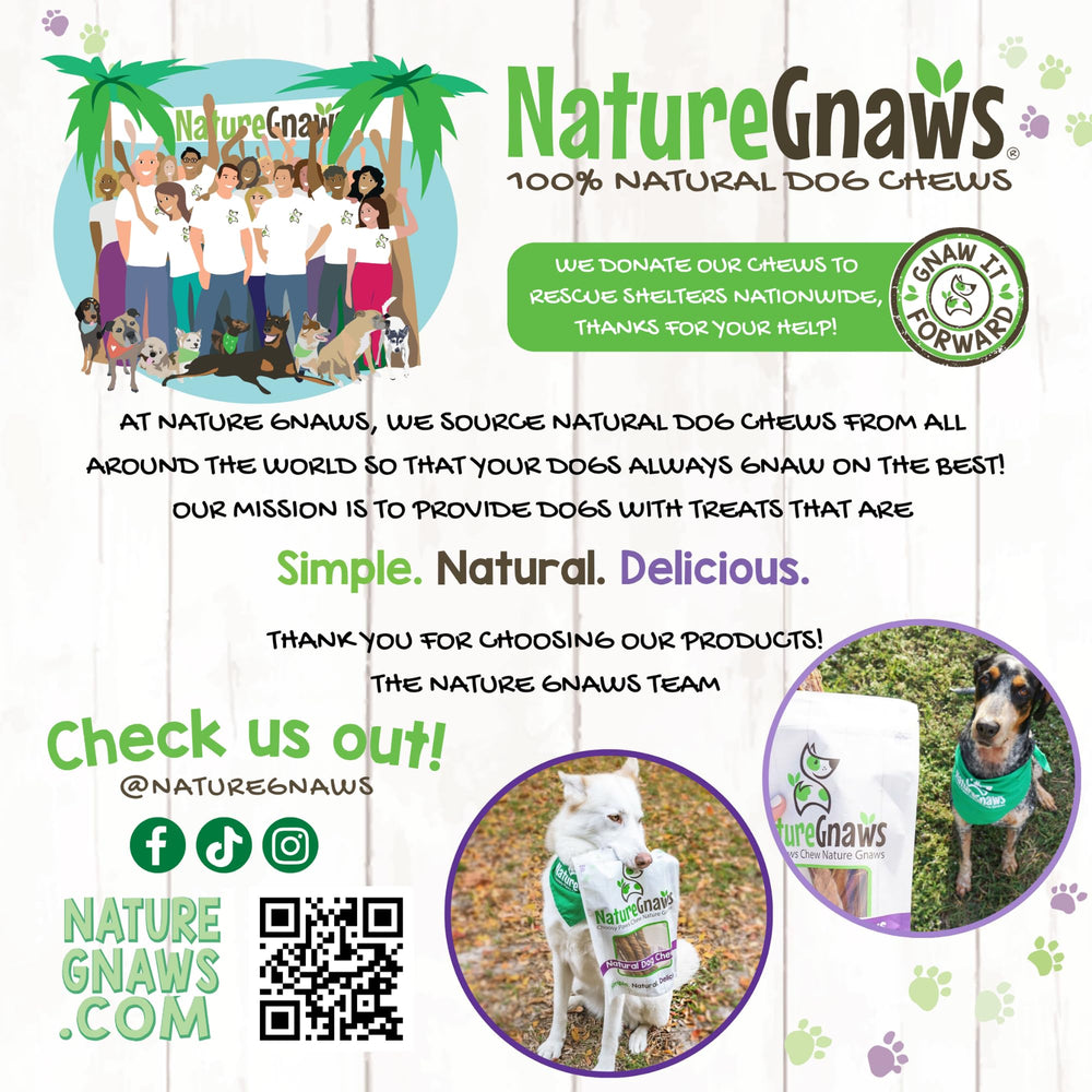 Nature Gnaws batonnet boeuf recompense quotidienne pour occuper et calmer.