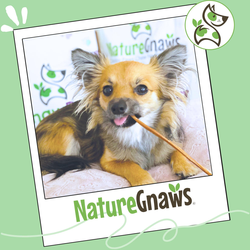 Nature Gnaws batonnet boeuf satisfaction naturelle, récompense saine pour chiots.