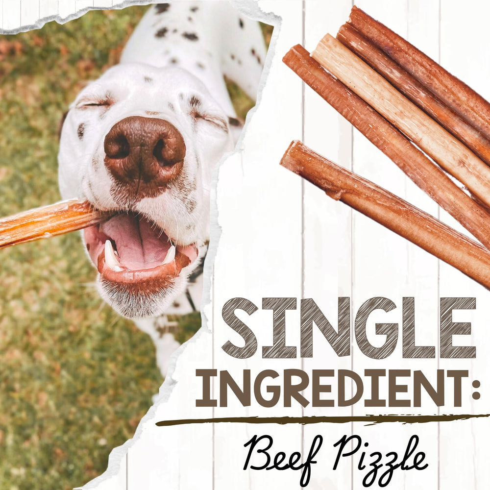 Nature Gnaws bully sticks 11-12 inch label emphasizes size for large chewers.