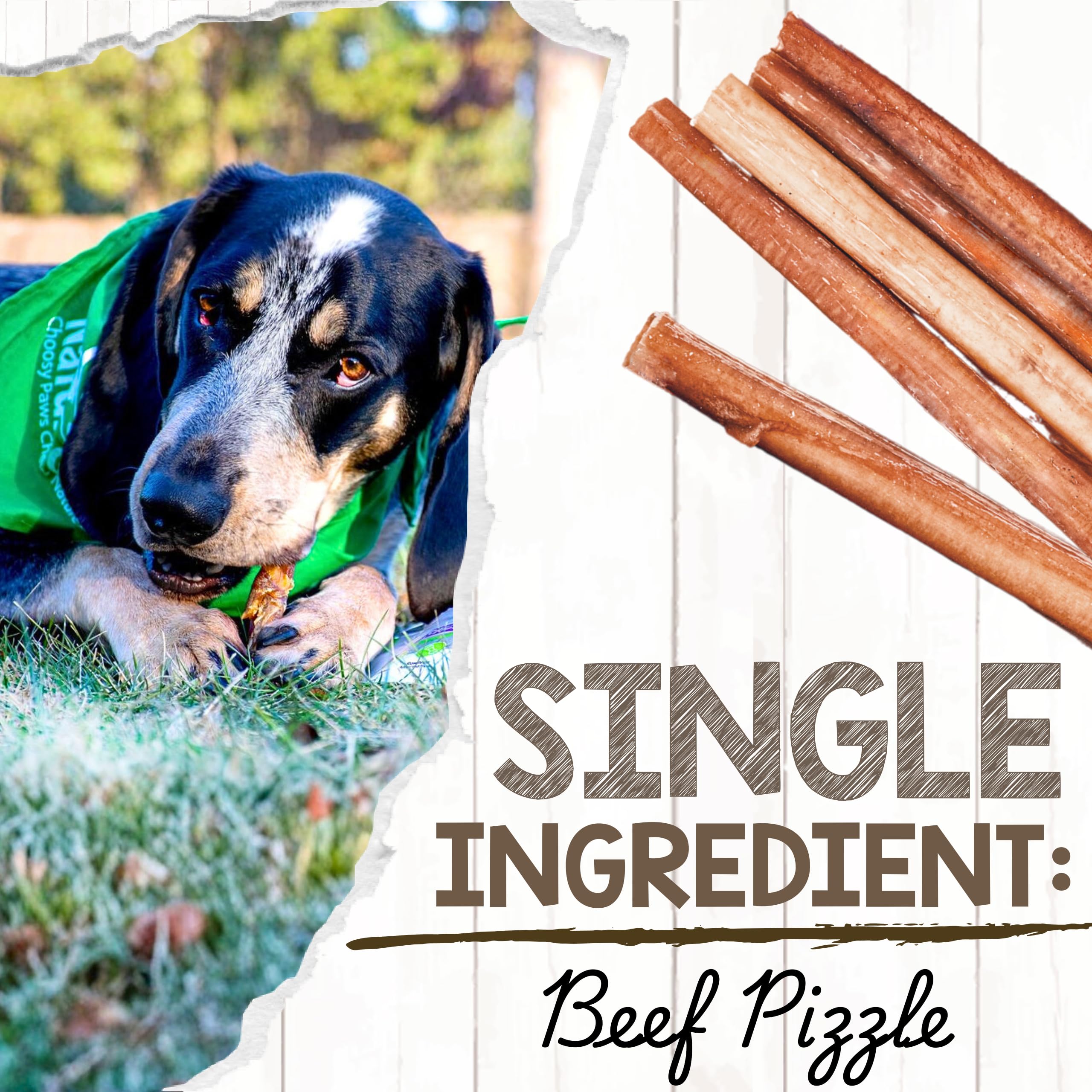 Texture close-up of Nature Gnaws Bully Sticks featuring natural beef pizzle