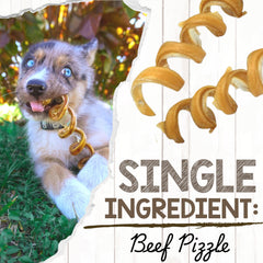 Nature Gnaws curly beef pizzle swirls highlight natural chew texture and flavor.