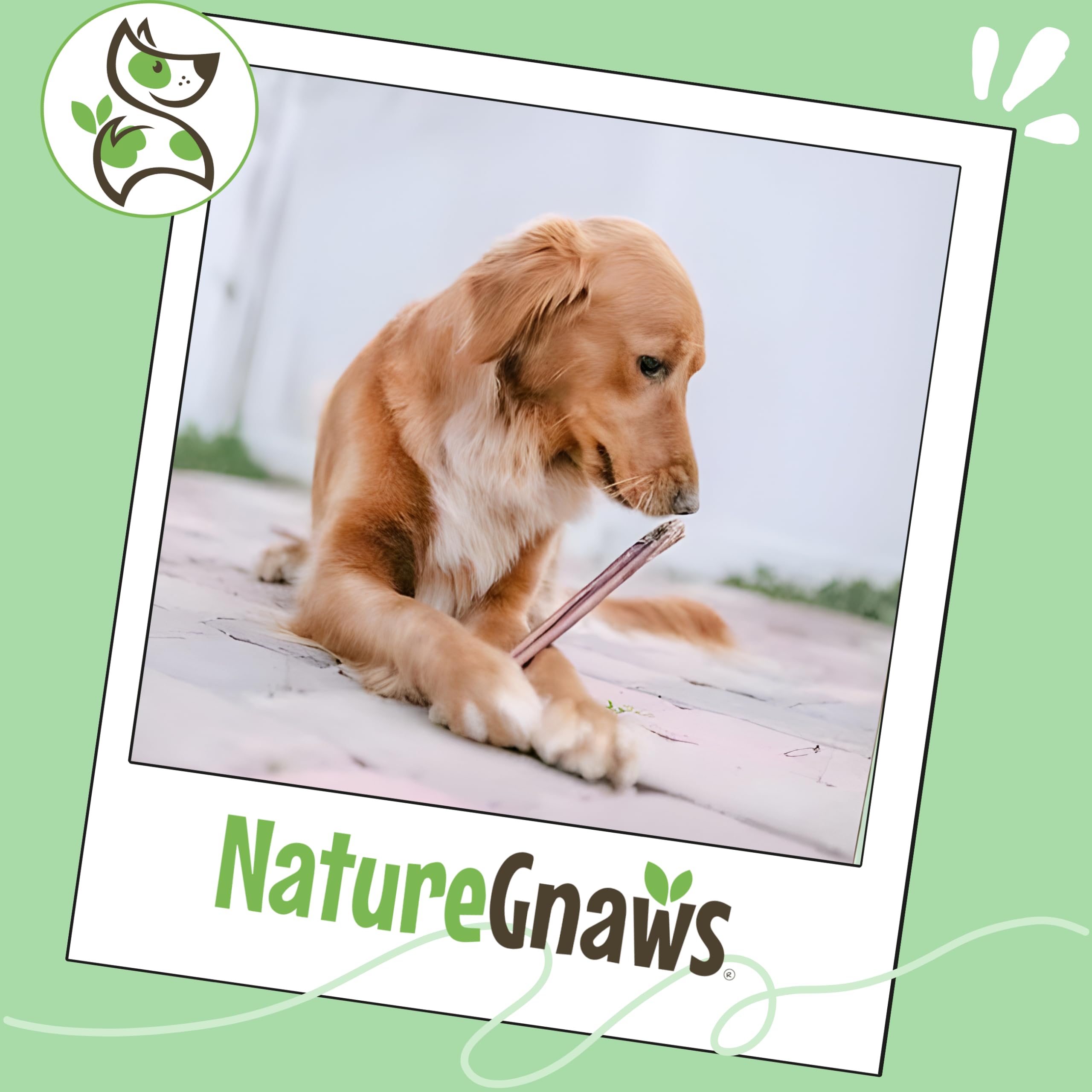 Nature Gnaws low odor dental chews suitable for dogs with sensitive noses