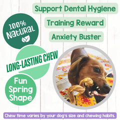 Nature Gnaws rawhide-free chews emphasize safer, digestible alternatives for dogs.