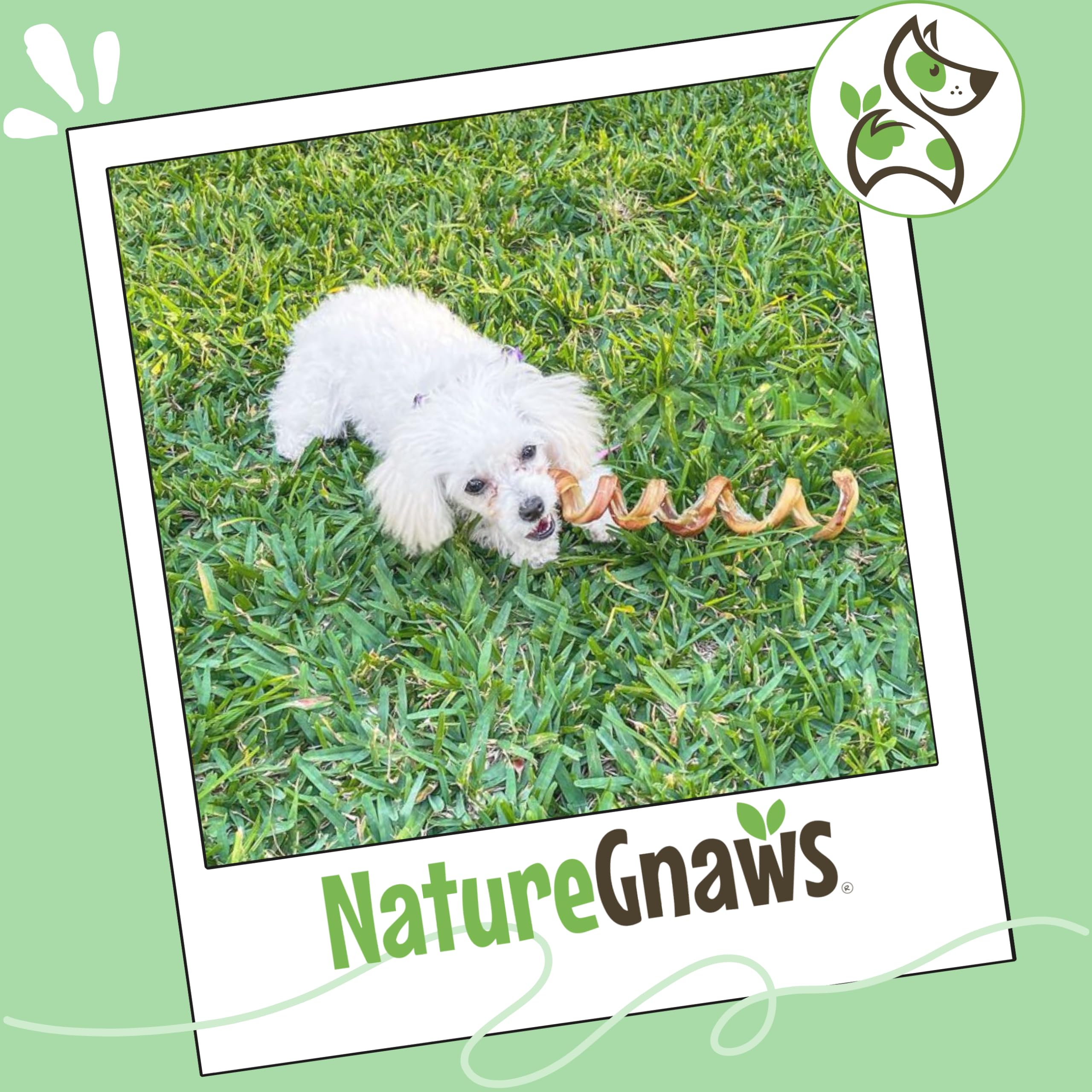 Nature Gnaws durable chew keeps aggressive chewers engaged and entertained.