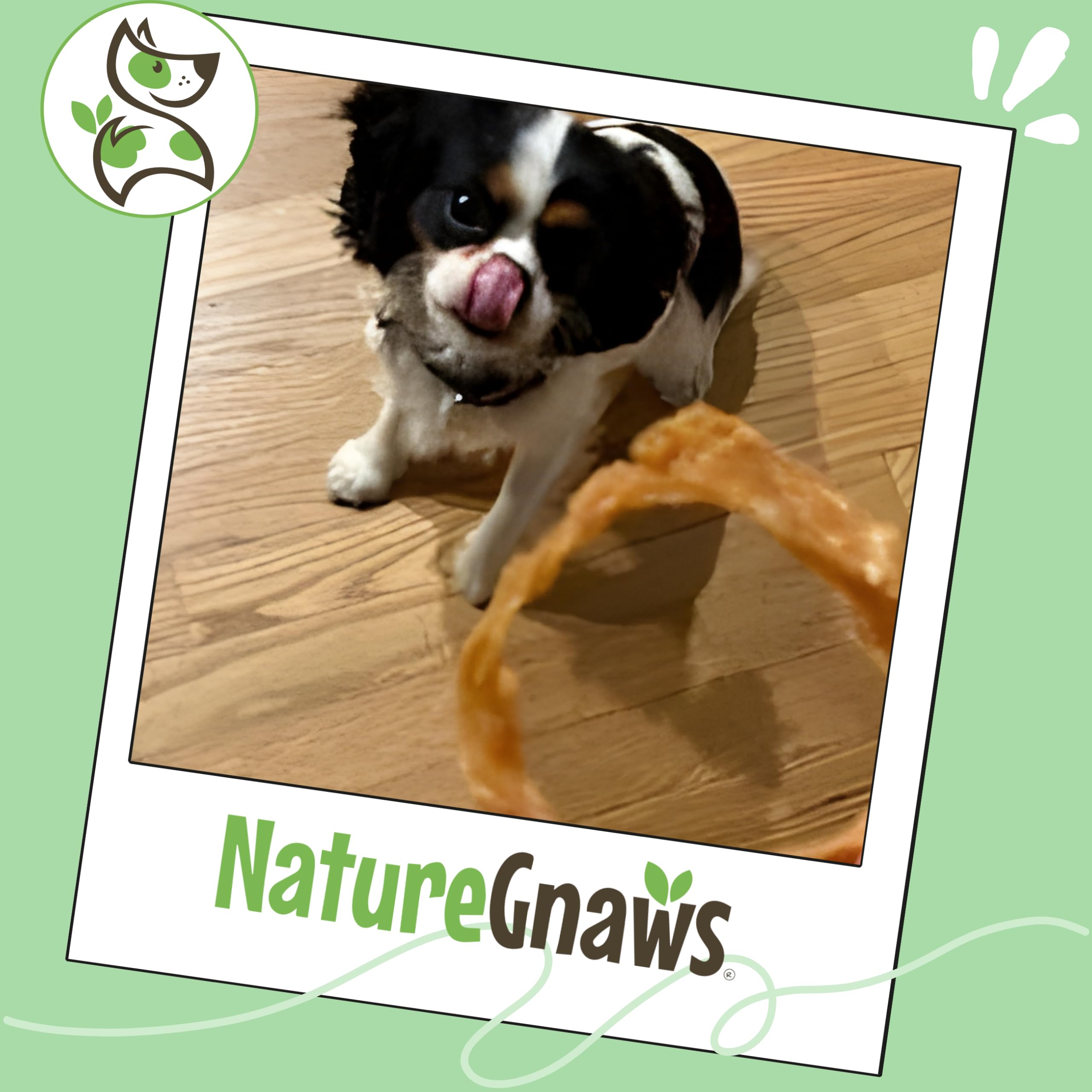 Savory scent and thick texture of Nature Gnaws turkey tendon rings