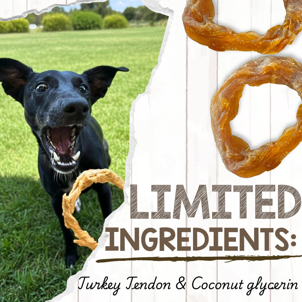 Nature Gnaws USA turkey tendon rings support focused training sessions