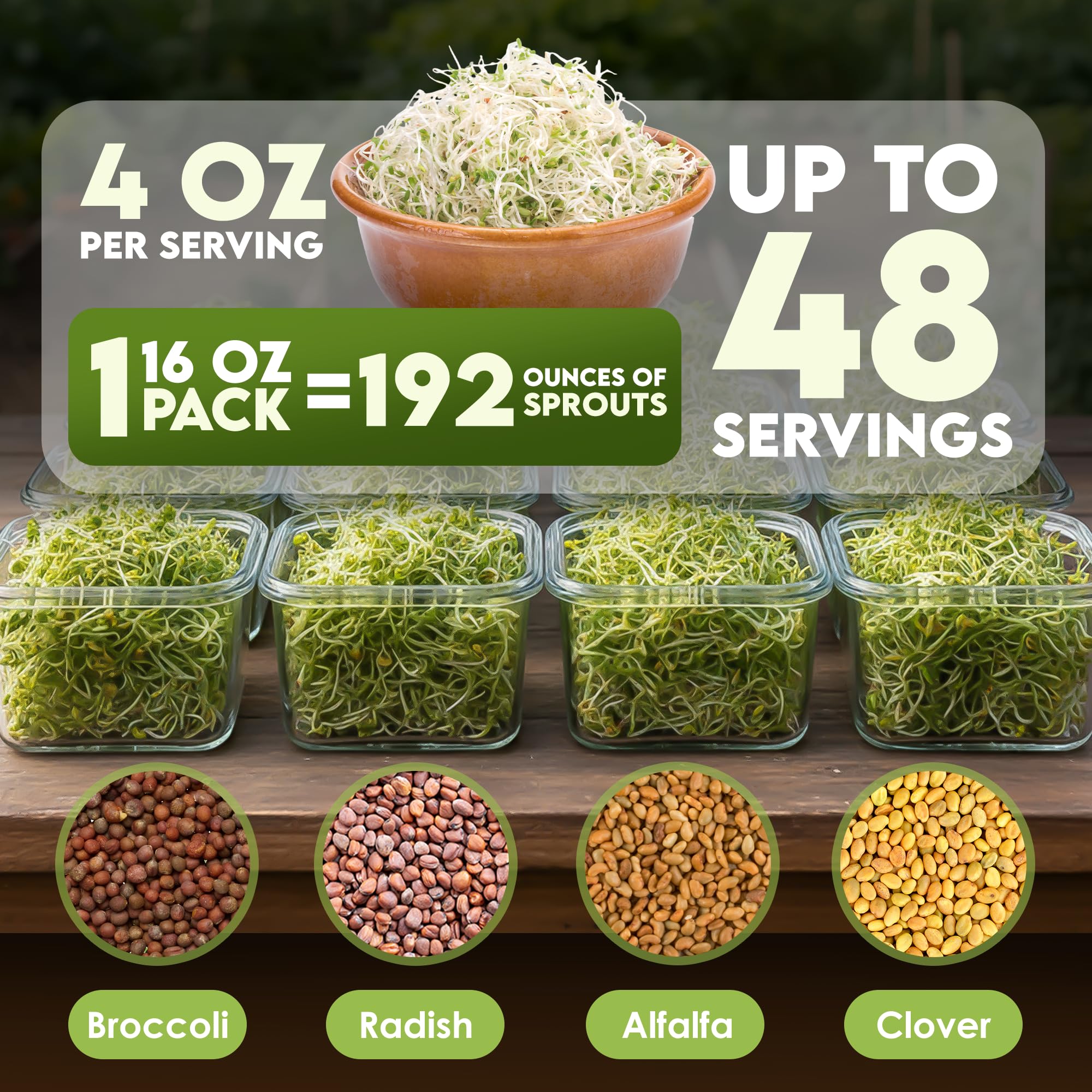 Nature Jims Sprouts broccoli sprout closeup showing crisp green sprouts