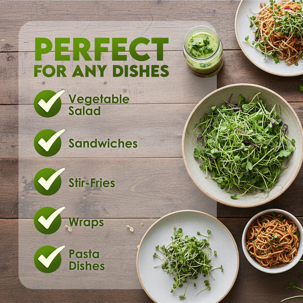 Nature Jims Sprouts clover sprout bowl ready-to-use microgreens