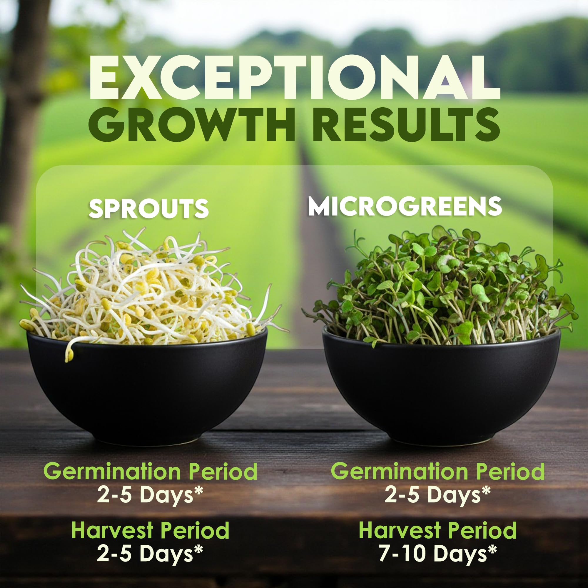 Nature Jims Sprouts clover seeds ready to grow crunchy nutritious sprouts