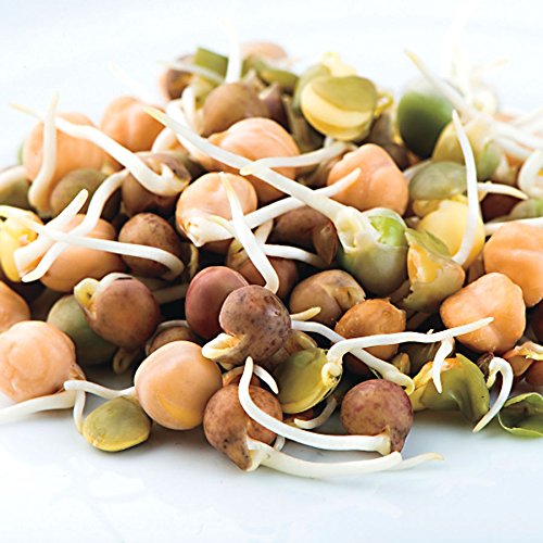 Nature Jim's Sprouts fresh sprouts in a bowl, ready to eat
