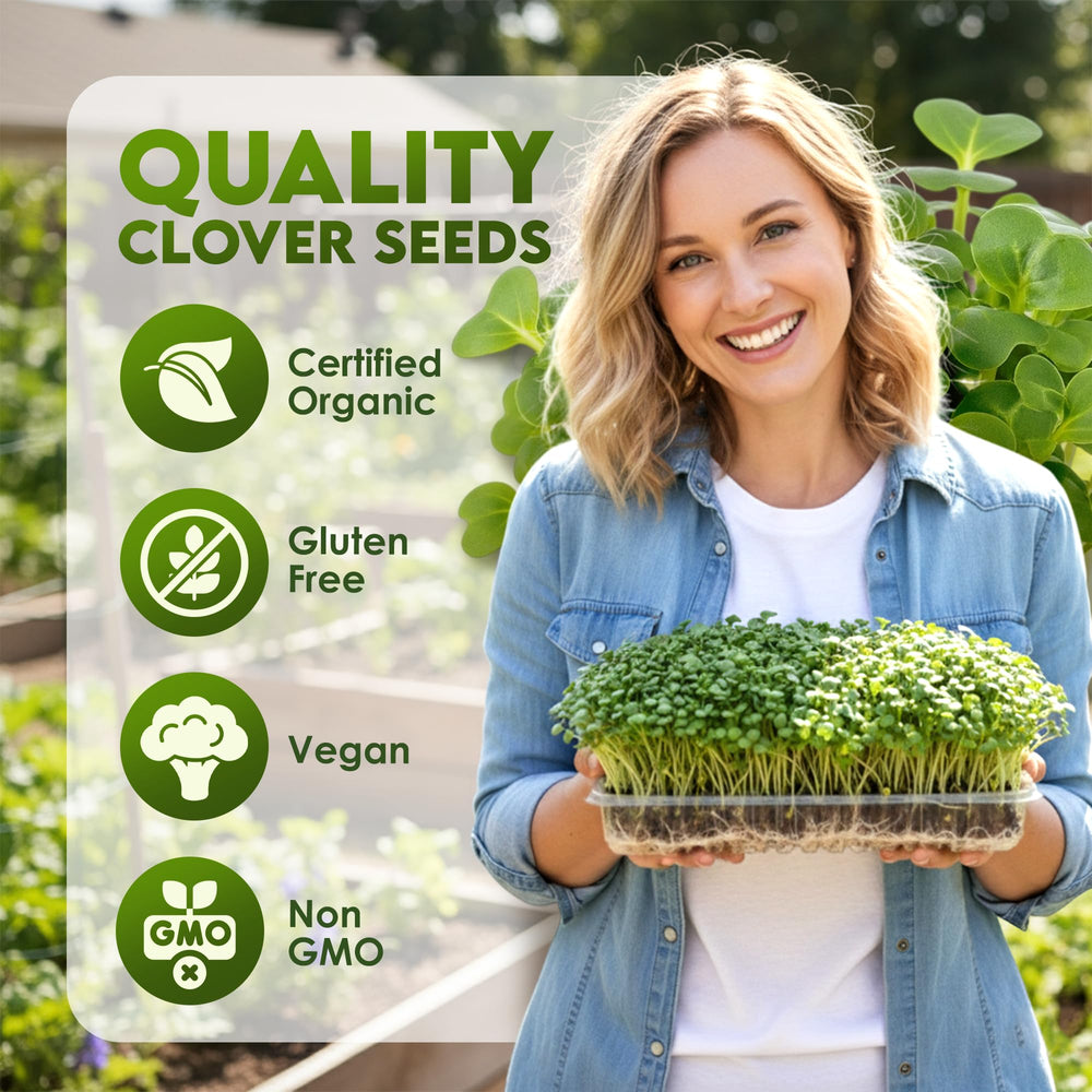 Nature Jims Sprouts organic non-GMO clover seeds label signals purity