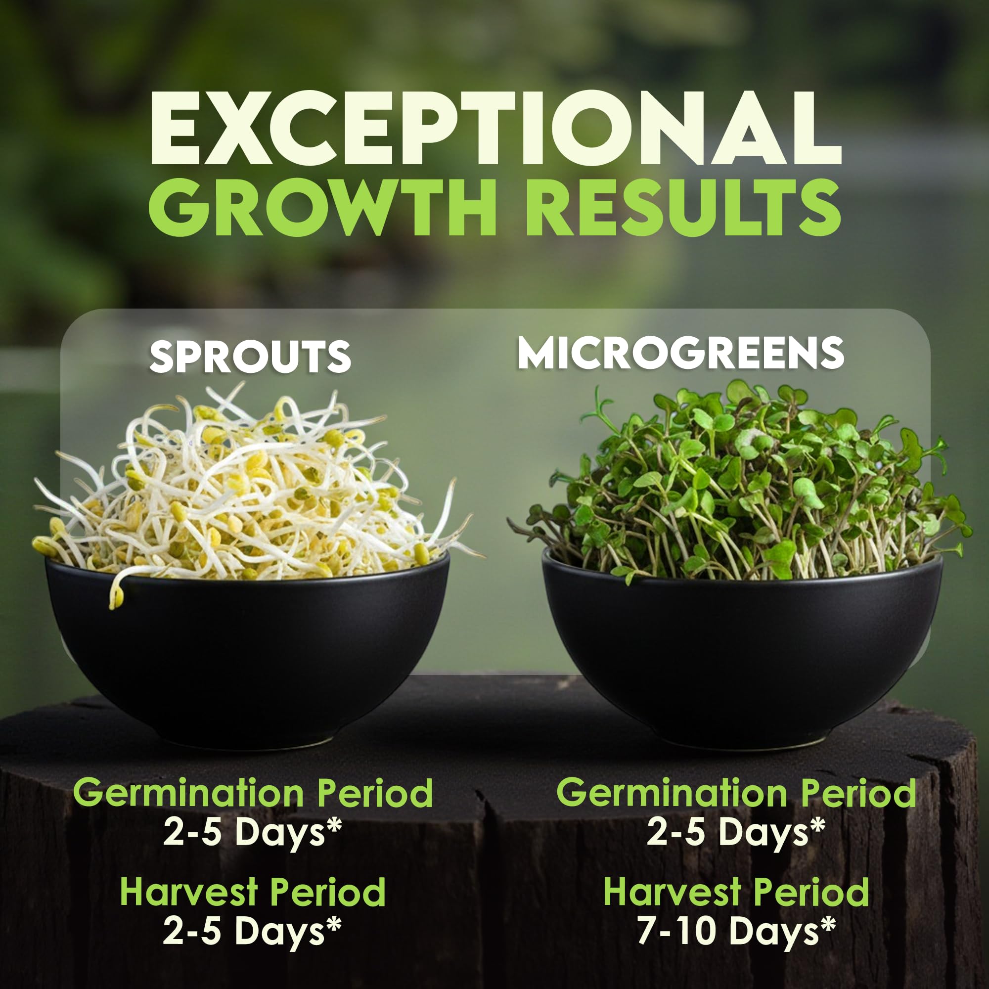 Nature Jims Sprouts radish sprout closeup with peppery aroma hints