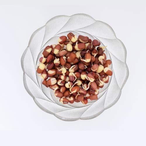 Nature Jim's Sprouts seed mix in bag for sprouting