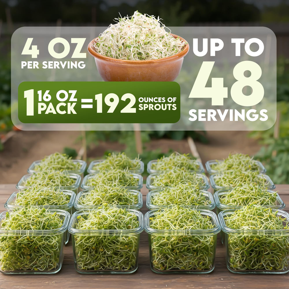 Nature Jims Sprouts seeds in a clear jar highlighting freshness for sprouts