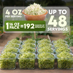 Nature Jims Sprouts seeds in a clear jar highlighting freshness for sprouts