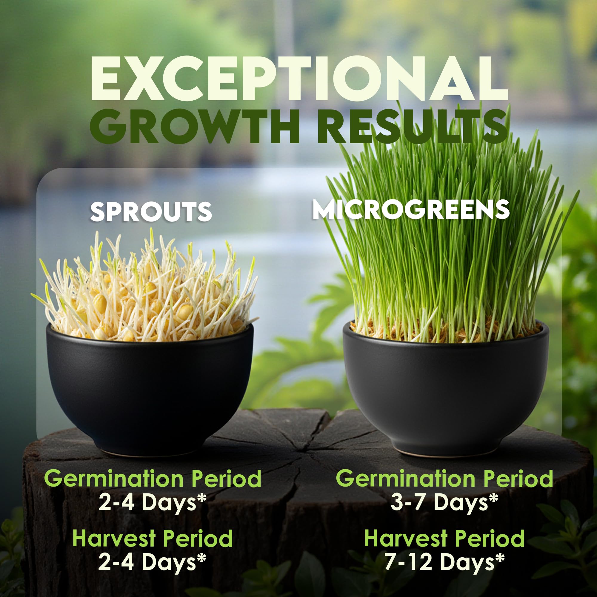 Nature Jims Sprouts sprouts in bowl, ideal for fresh salads and smoothies.
