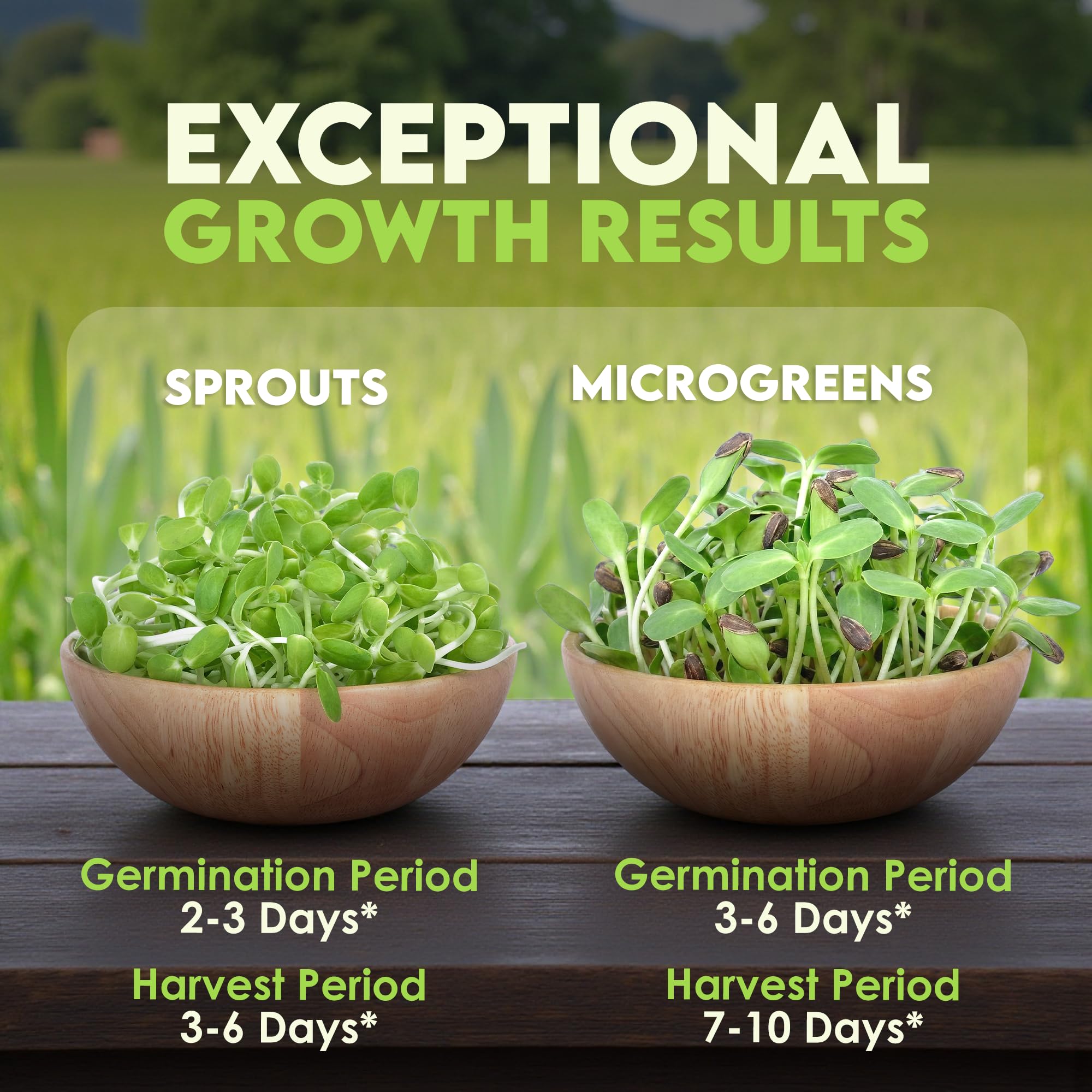 Nature Jims Sprouts sunflower seeds crunchy sprouts bowl highlights fresh microgreens.
