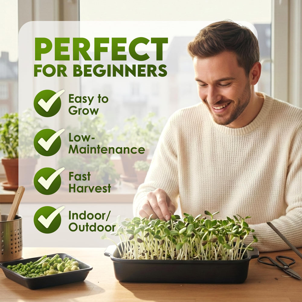 Nature Jims Sprouts sunflower seeds toppings for salads or wraps.