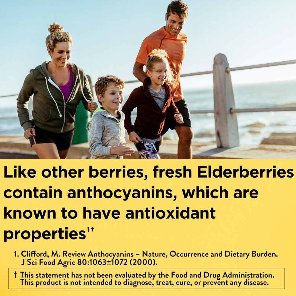 Nature Made Elderberry Gummies ingredients label highlights Vitamin C and Zinc for immune support.