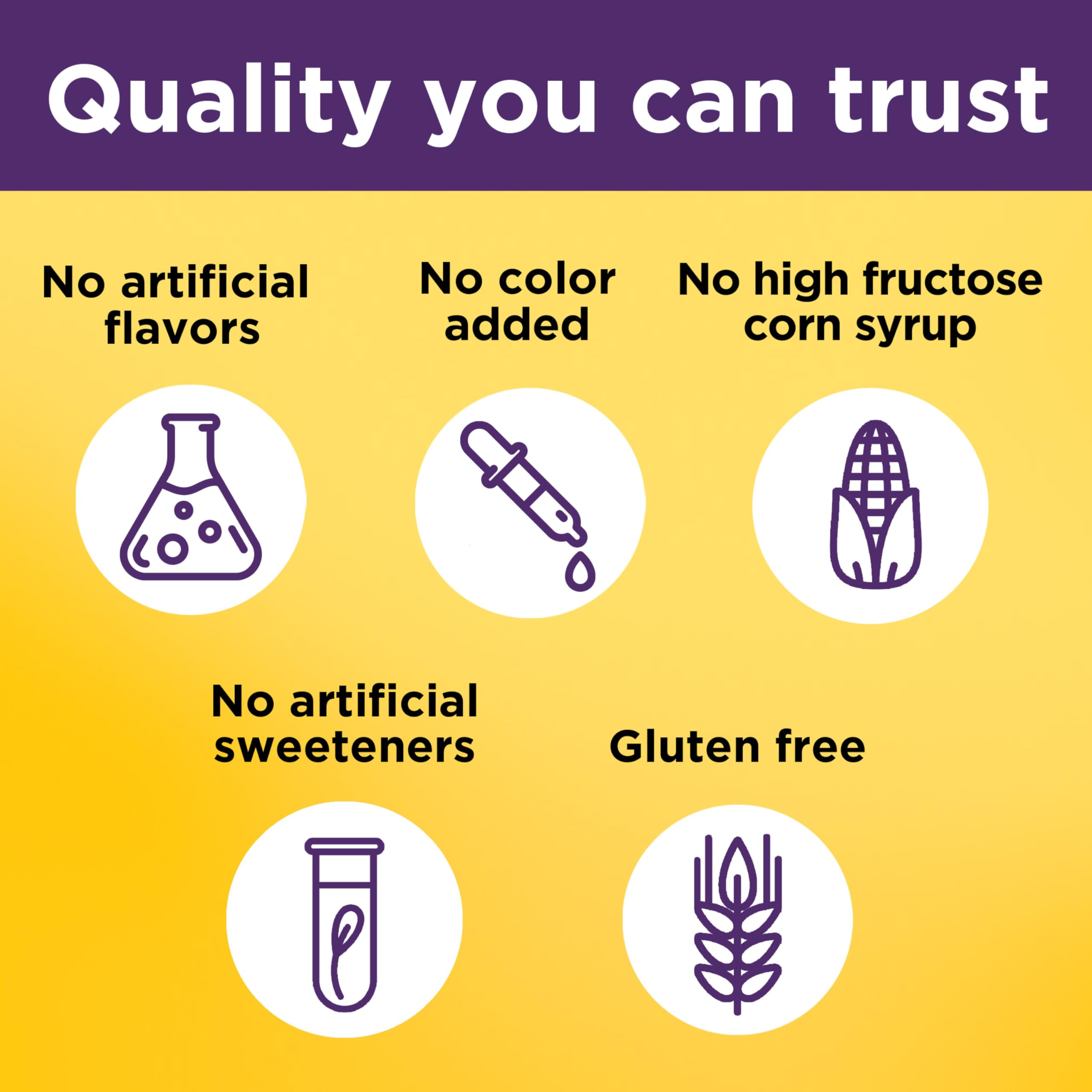 Nature Made Elderberry Gummies no artificial flavors signals clean formulation.