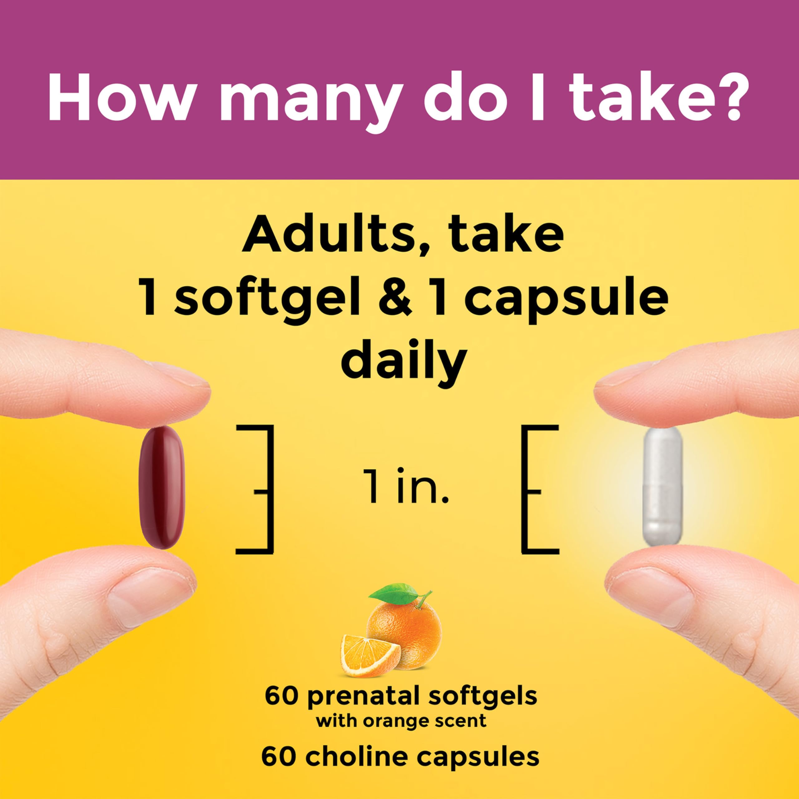 Nature Made ingredients folic acid DHA choline: essential nutrients for healthy fetal development.