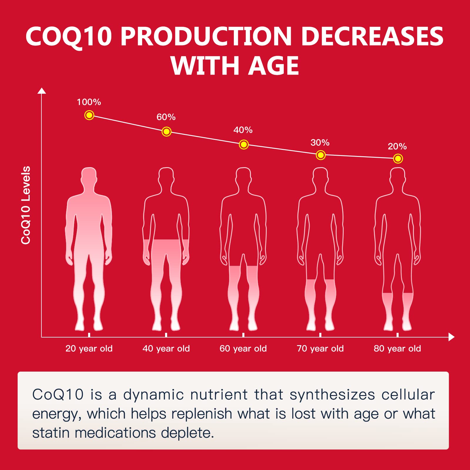 120-count Nature Target CoQ10 bottle ready for daily use.