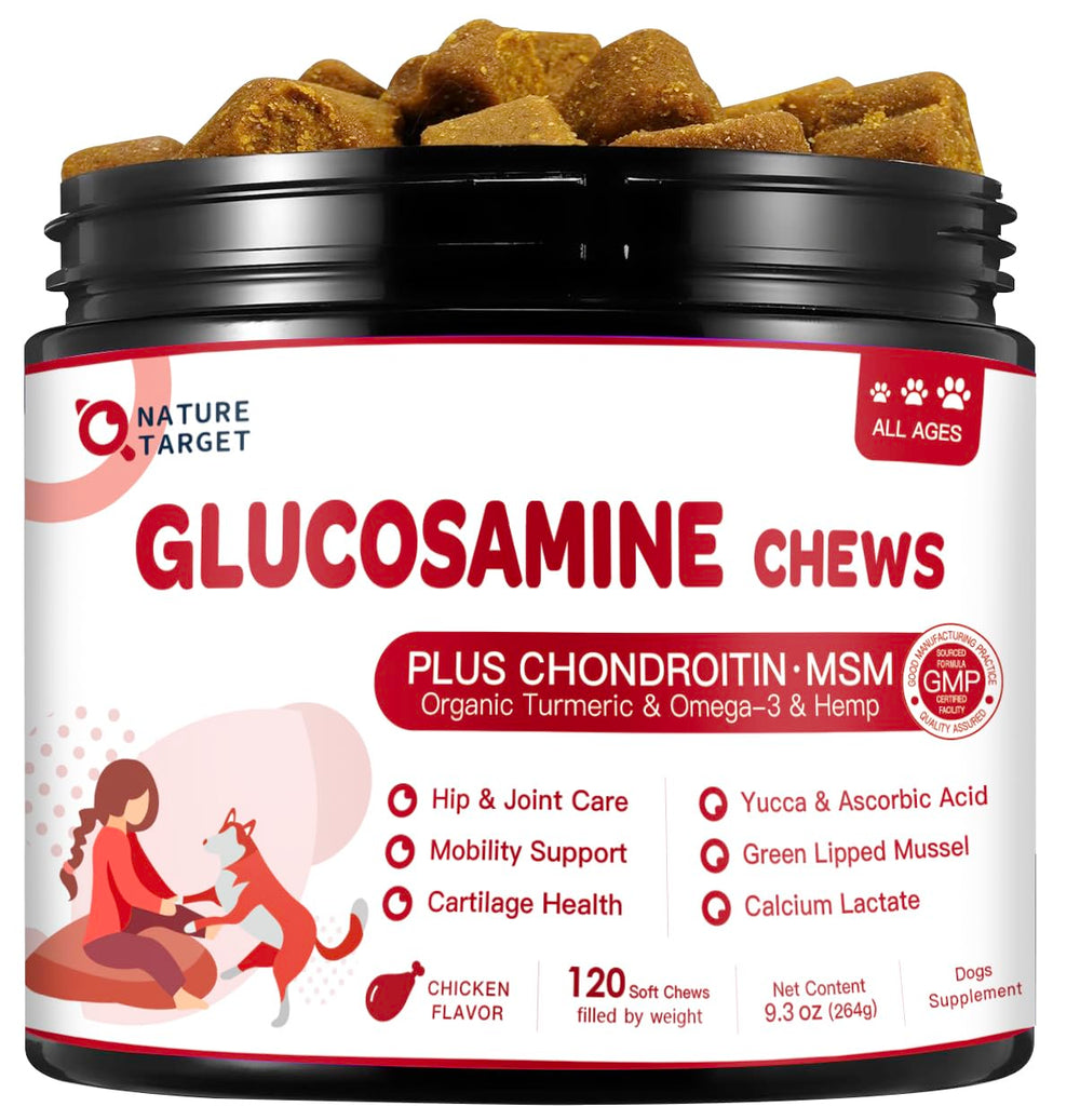 Nature Target dog joint chews bottle shows tasty formula designed for smoother movement.