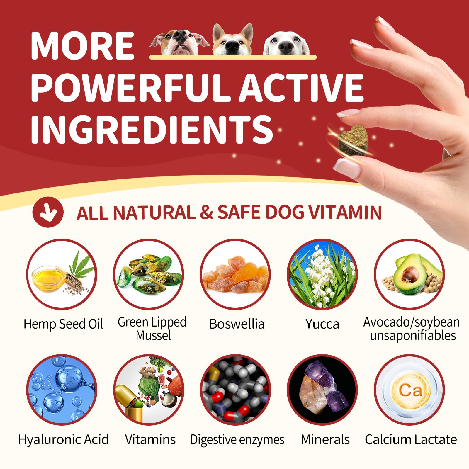 Nature Target ingredients closeup shows glucosamine and chondroitin for joints.