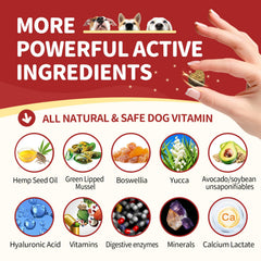 Nature Target ingredients closeup shows glucosamine and chondroitin for joints.