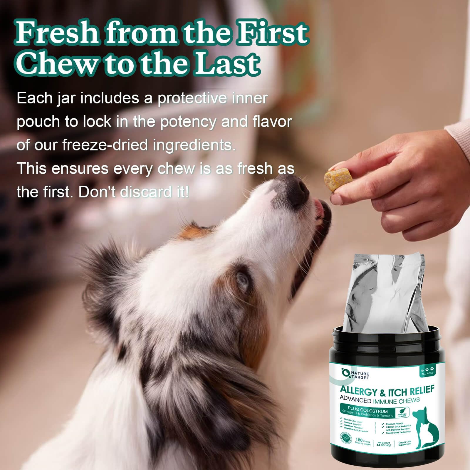 Nature Target household jar and bag packaging for various dog sizes