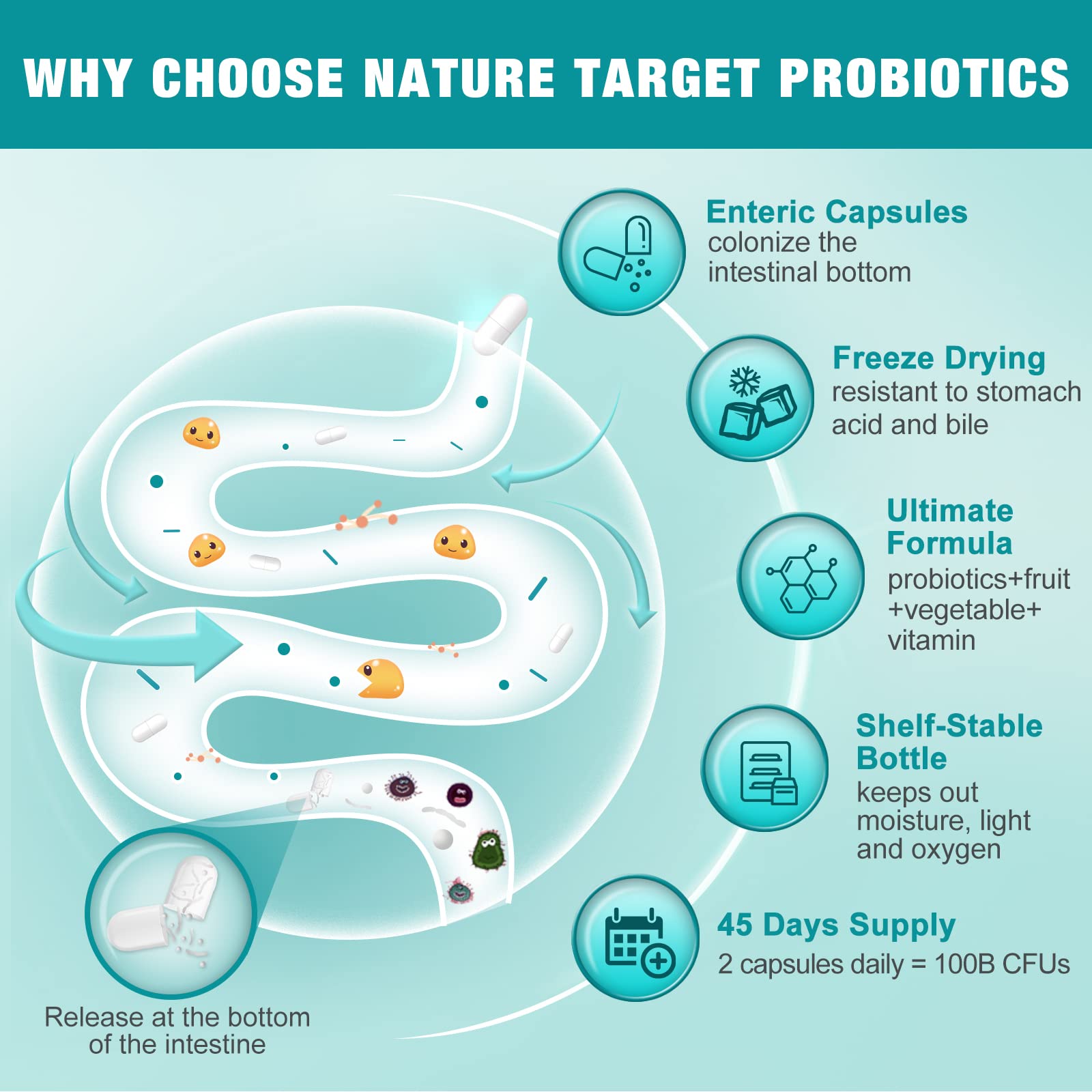 Nature Target Probiotics capsules close-up, convenient daily wellness support.