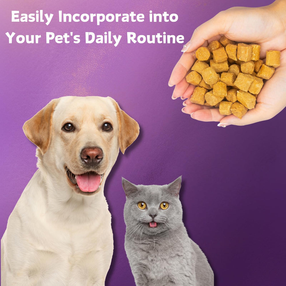 Nature Target Probiotics supports immune and overall health in dogs