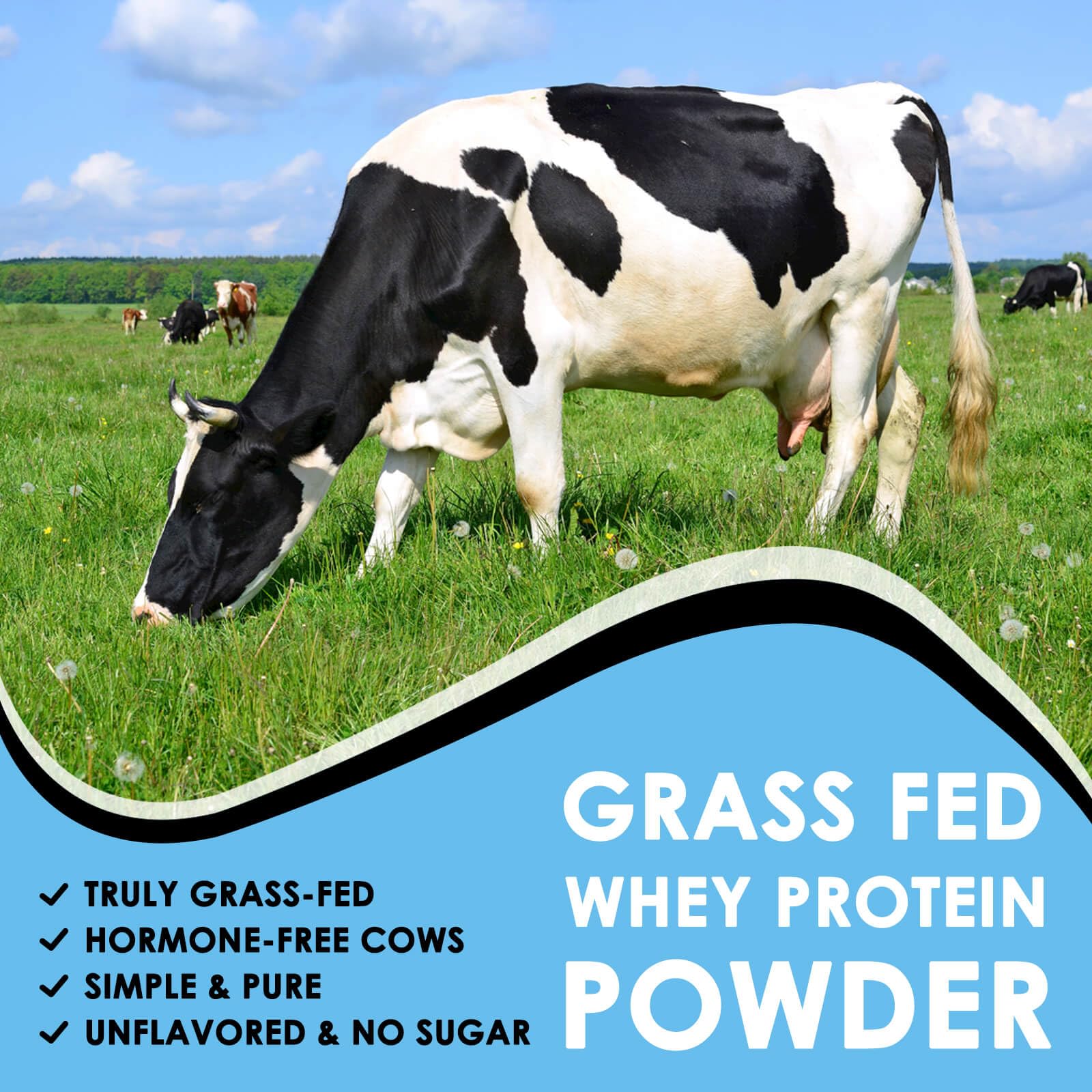 Nature Target Whey Isolate being mixed into a smooth shake